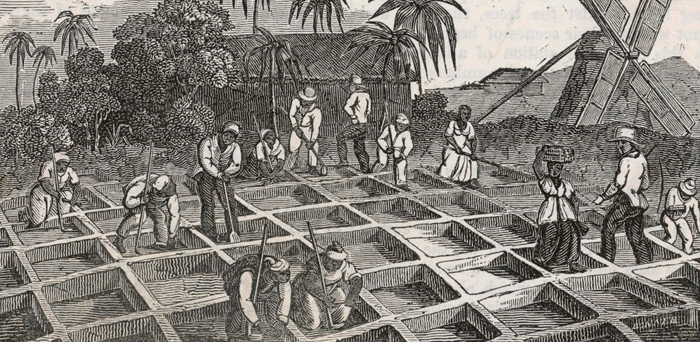 Tory MP’s historic family links to slavery raise questions about Britain’s position on reparations