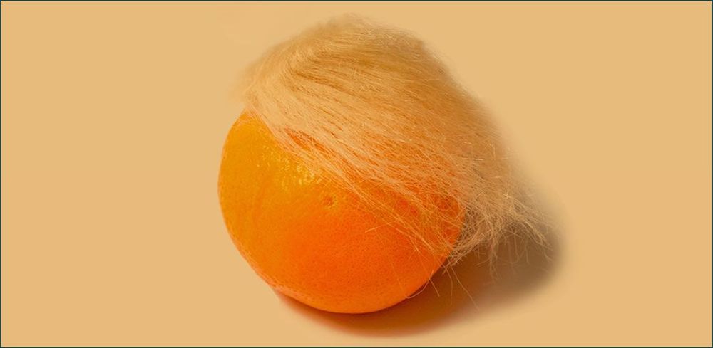 Trump-lite is flavour of the month. post image