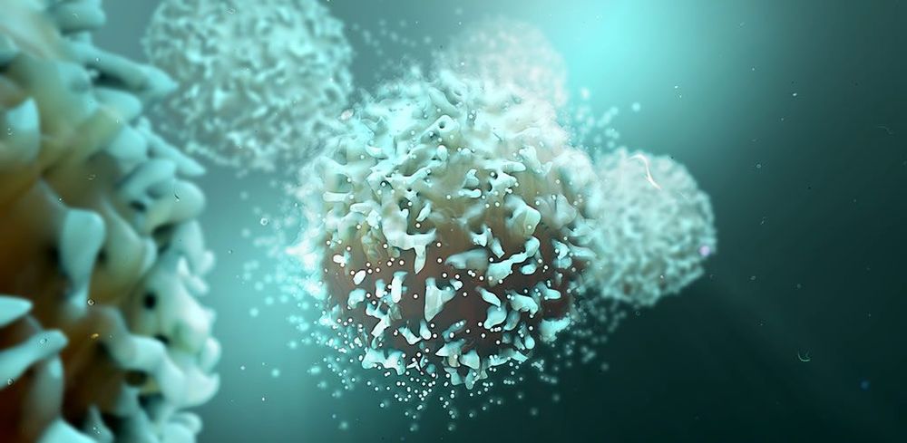 Things everyone should know about COVID-19 (Part 1: Immune System) post image