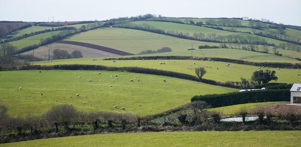 Brexit Britain: Grow-your-own-salad country vs start-up nation post image