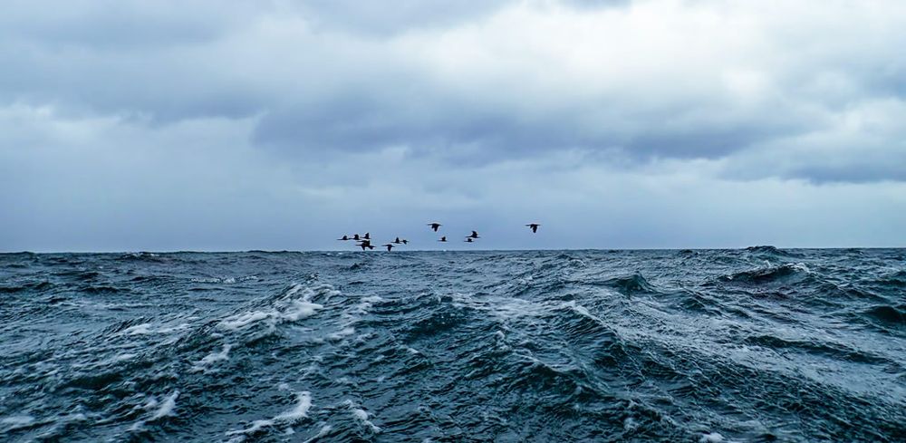 The Atlantic is at risk of circulation collapse – it would mean even greater climate chaos across Europe post image