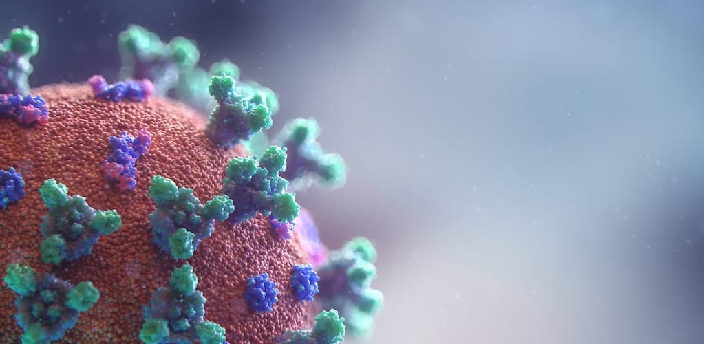 Latest COVID 🦠