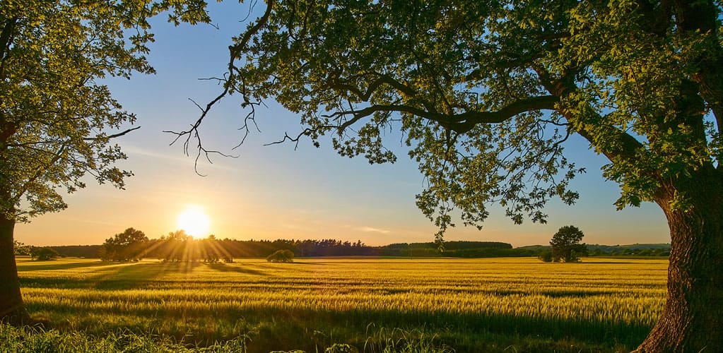 Oil firms want to drill in four of the UK’s areas of outstanding natural beauty