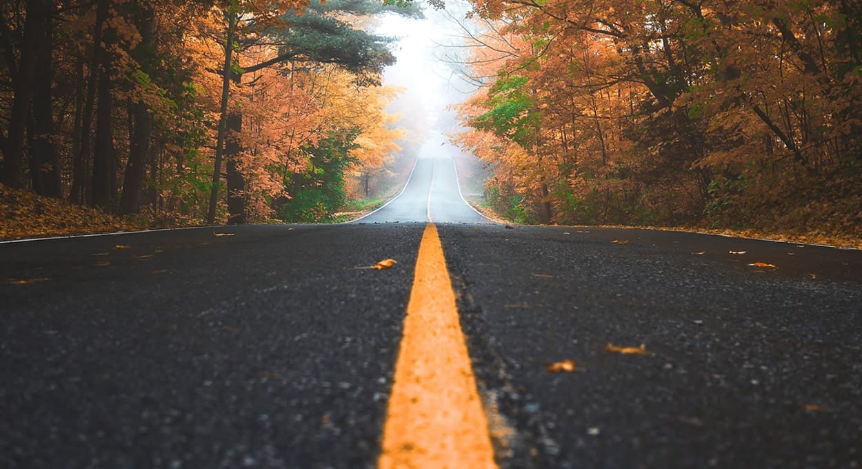 Matthew Barnfield cover image