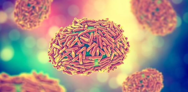 Monkeypox may not mutate as fast as coronaviruses, but that doesn’t mean it can’t adapt to its new hosts.