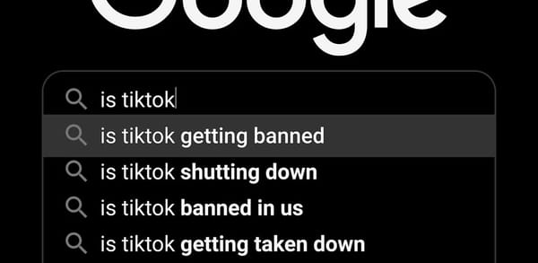 US election: Turning off TikTok is a big risk for the Democrats