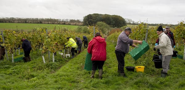 The UK farmer protests you probably haven’t heard about