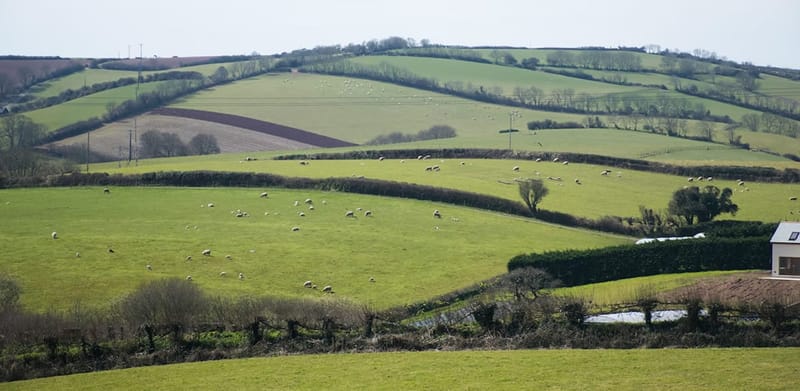 Brexit Britain: Grow-your-own-salad country vs start-up nation post image